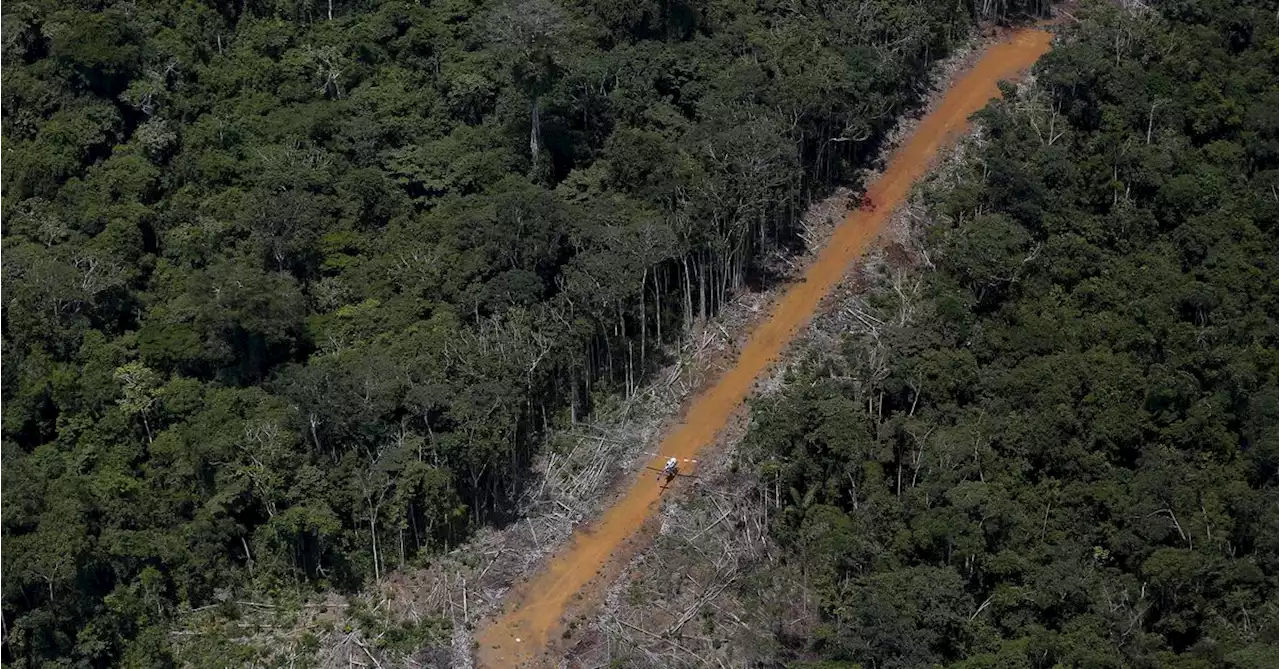 Brazil's largest indigenous reservation overrun by illegal gold mining, says report