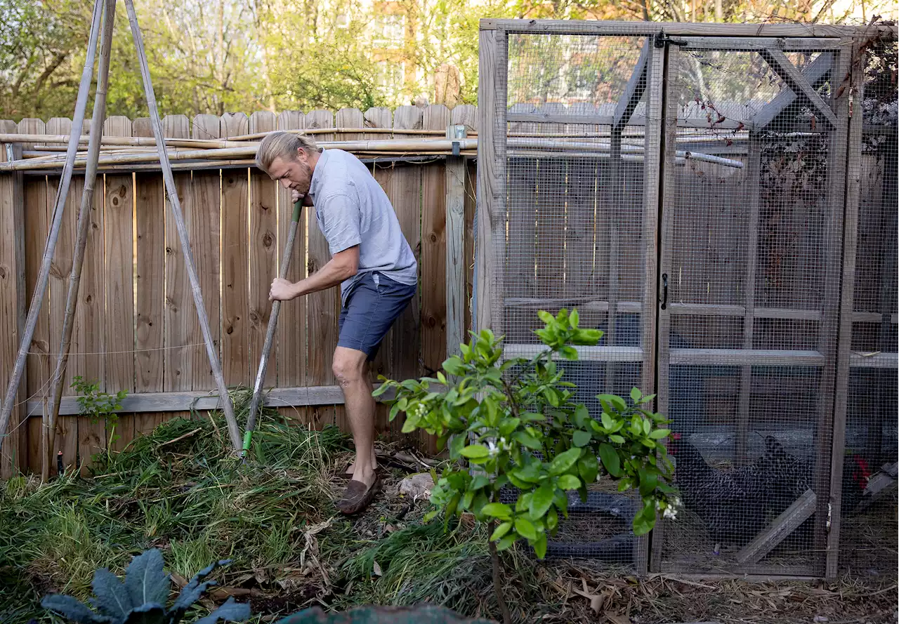 San Antonio gardeners compete to get the most out of urban food plots