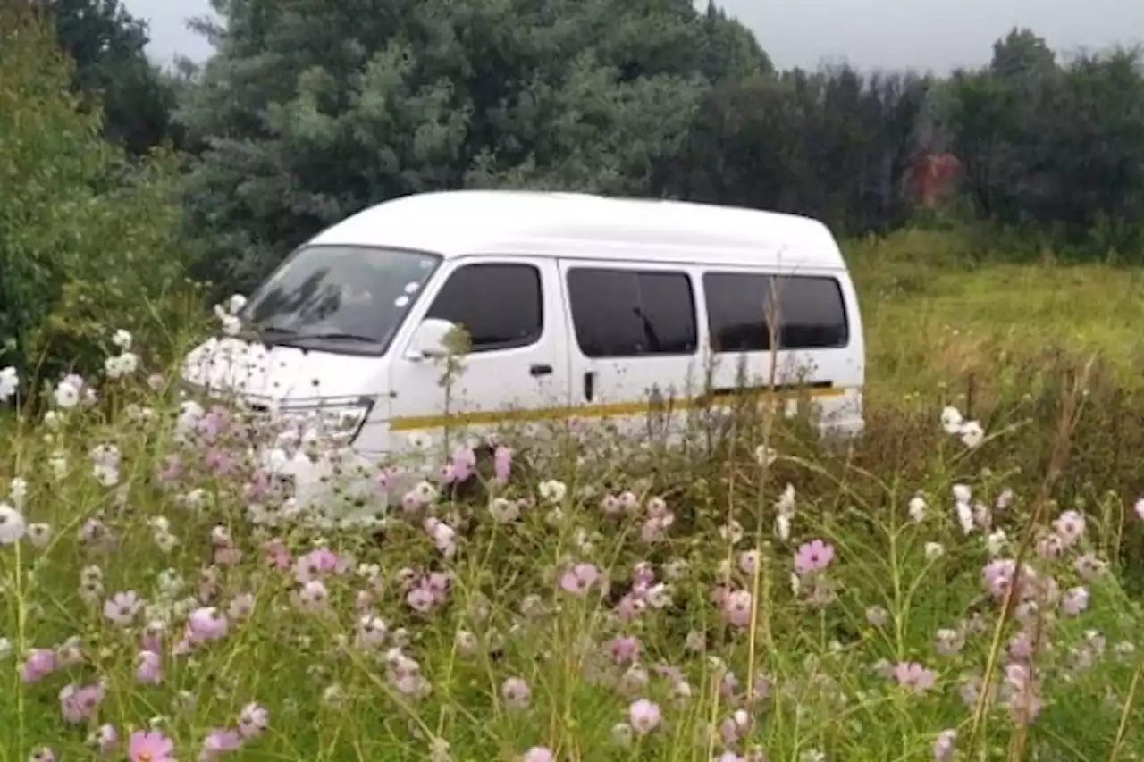 17 Sheep stolen from a Kaalfontein farm found inside a minibus - South Africa Today