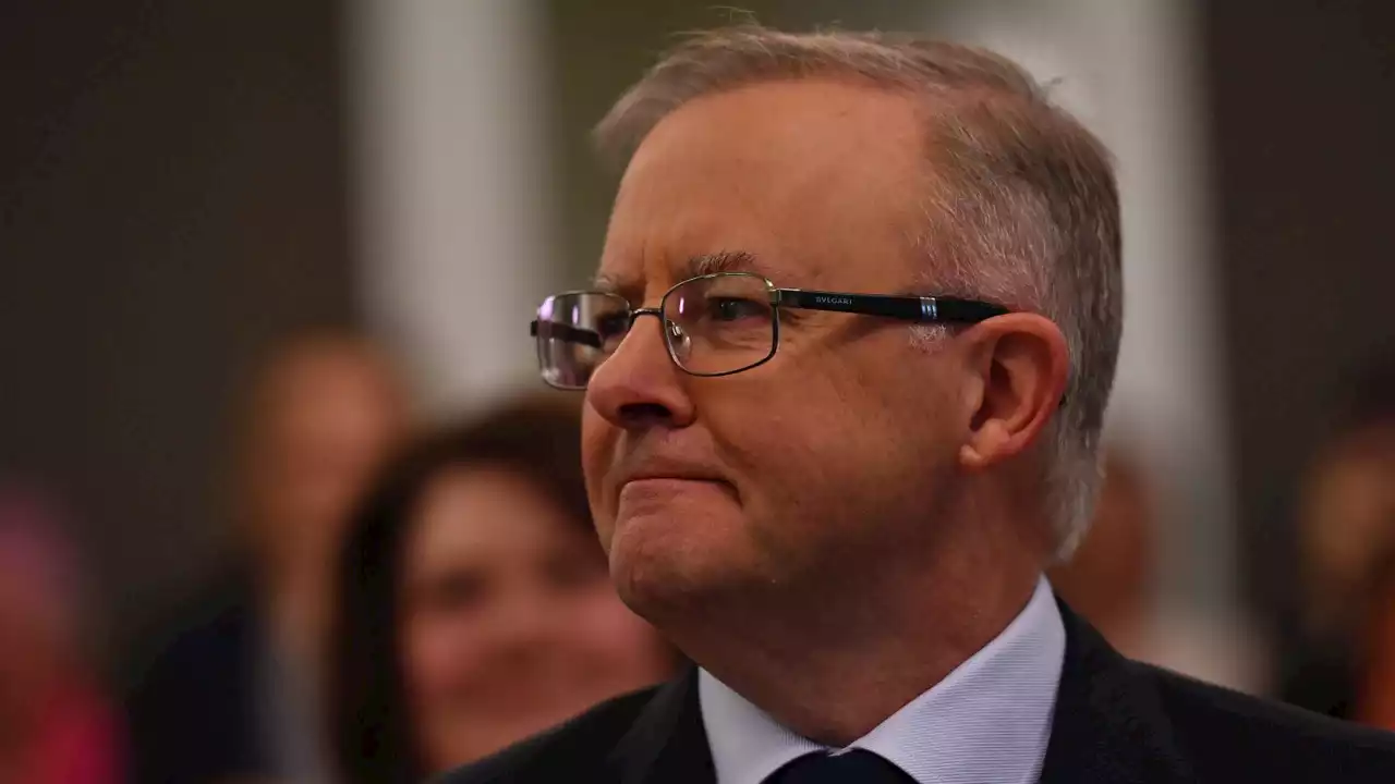 Casual worker increase ‘another fact’ Albanese ‘did not get right’