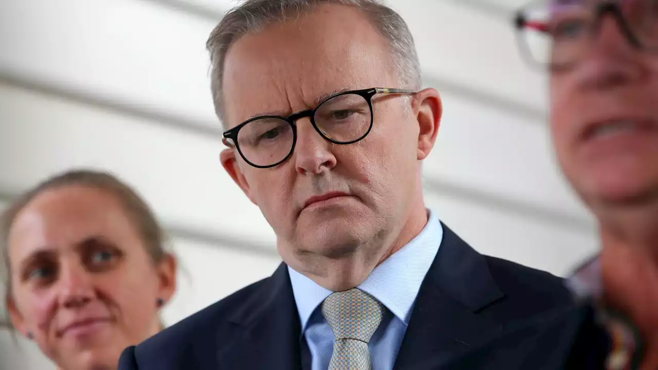 ‘No consequences for real people’: Albanese attempts to move on from gaffe