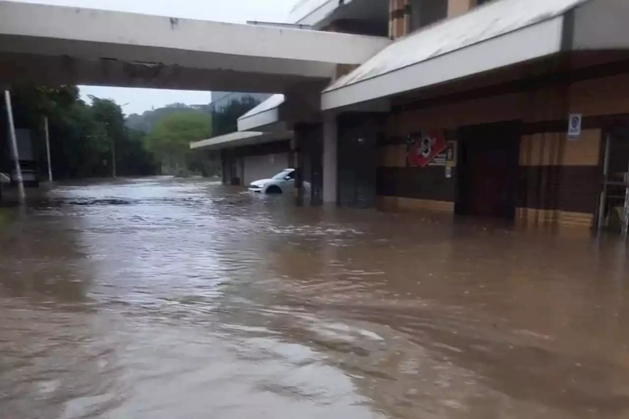 WATCH: More rain expected in KZN as floods devastate the province