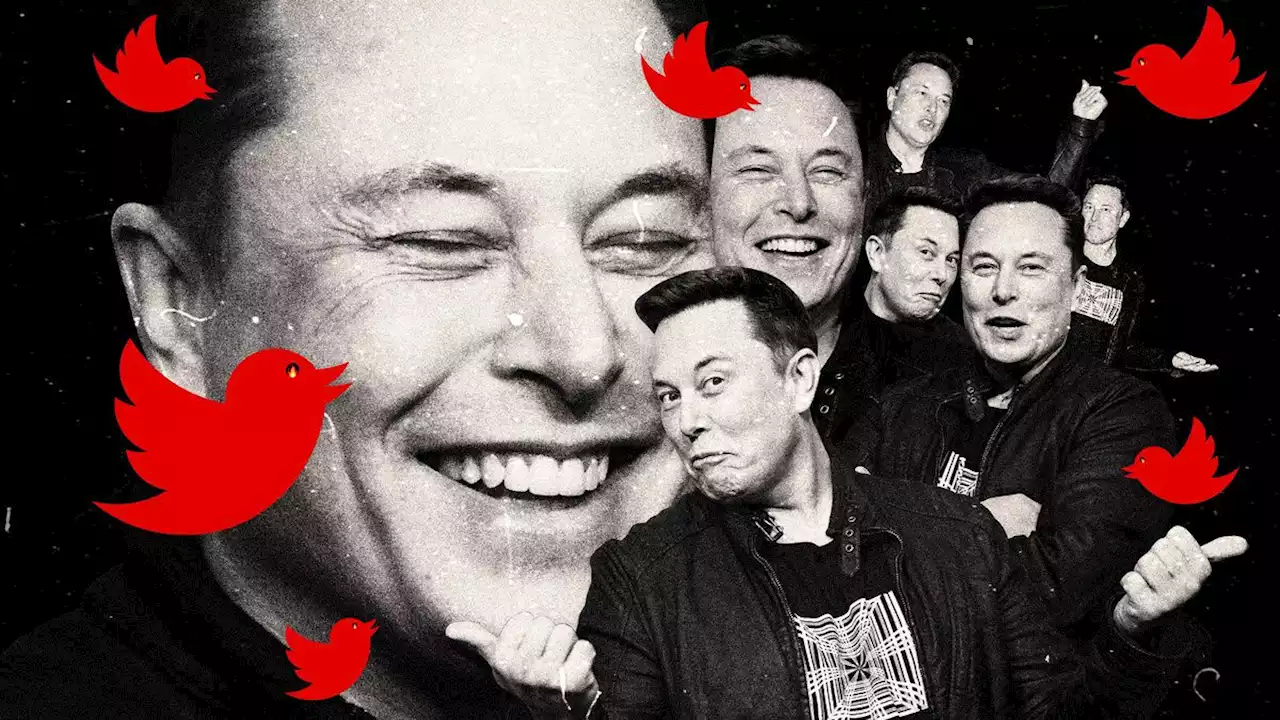 Trump Fans Still Hoping Elon Musk Will Bring Their Emperor-God Back to Twitter