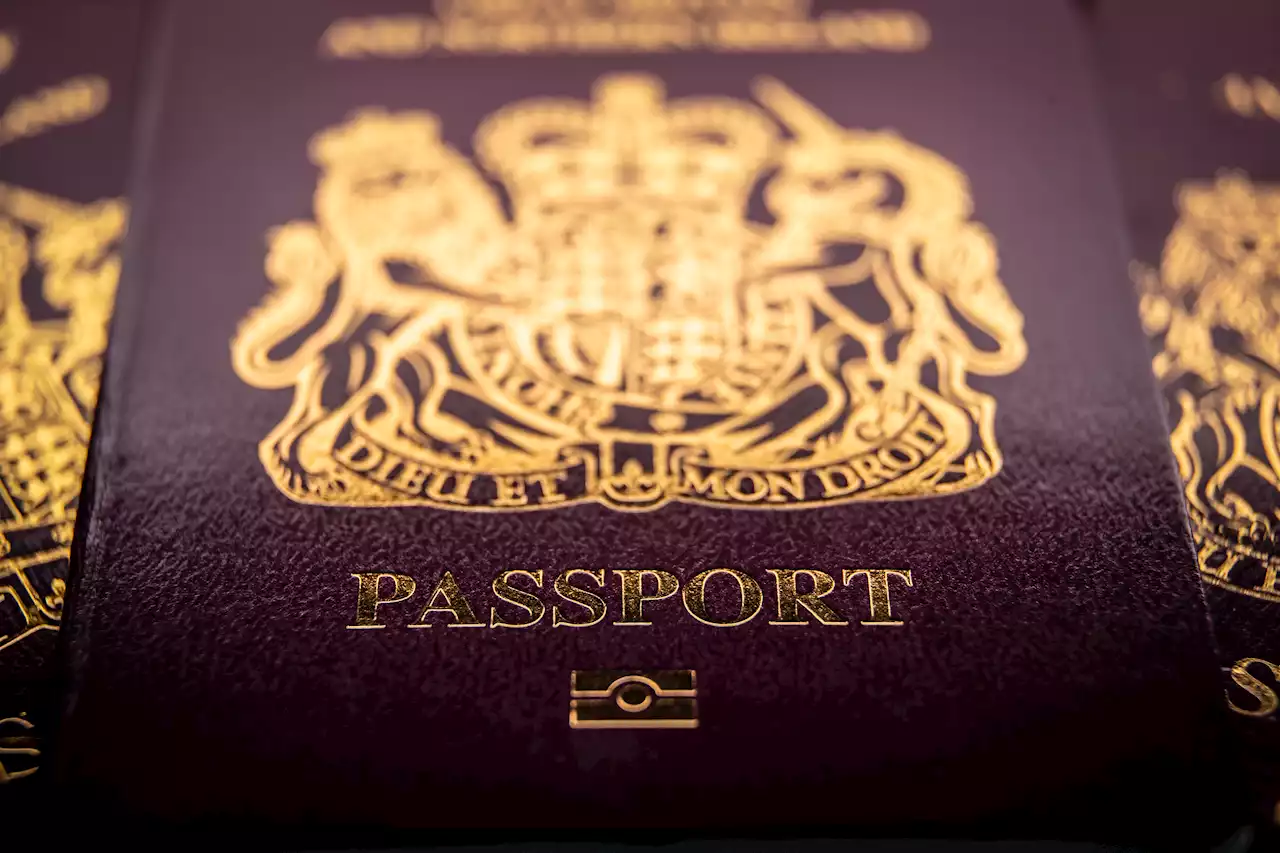 Martin Lewis passport warning as Brits face paying MORE due to easy mistake