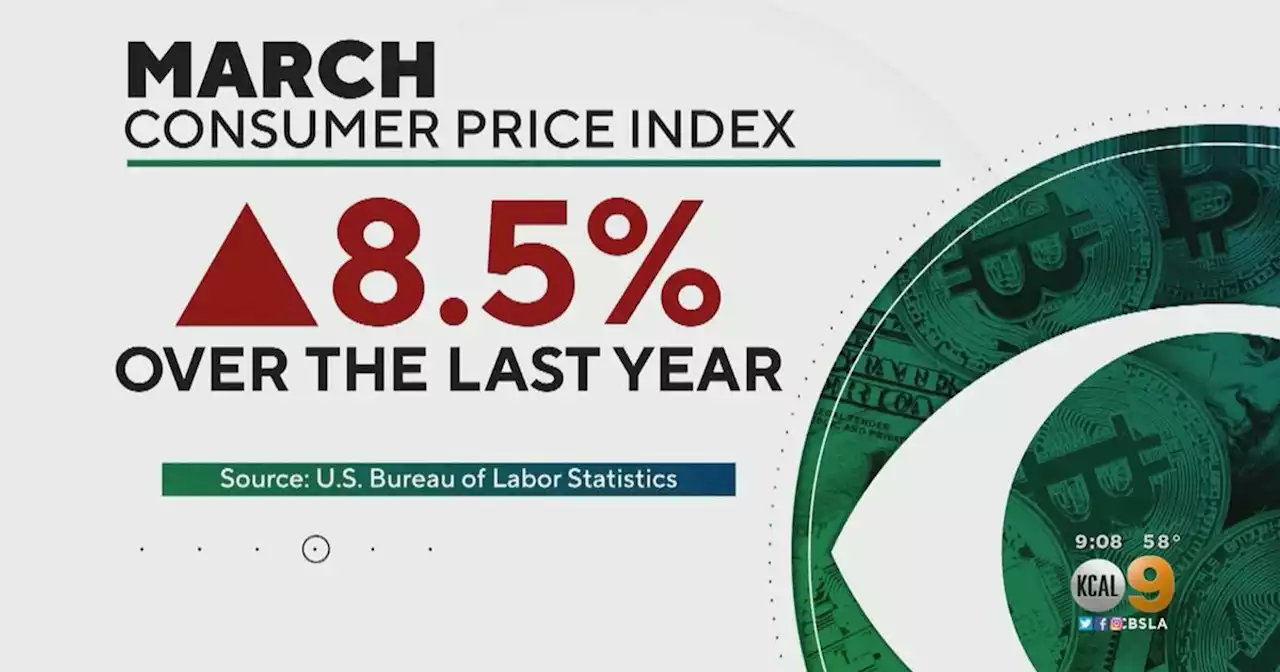 Inflation hits its highest mark in over 40 years