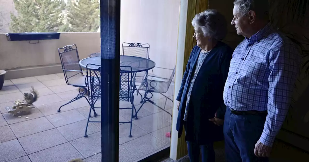 Colorado couple feeds two squirrels on miniature picnic table every day