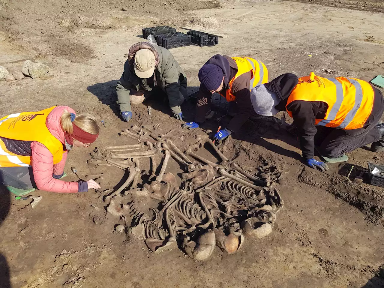 Archäologie - Jahrtausendealte Grabstätte im brandenburgischen Wustermark