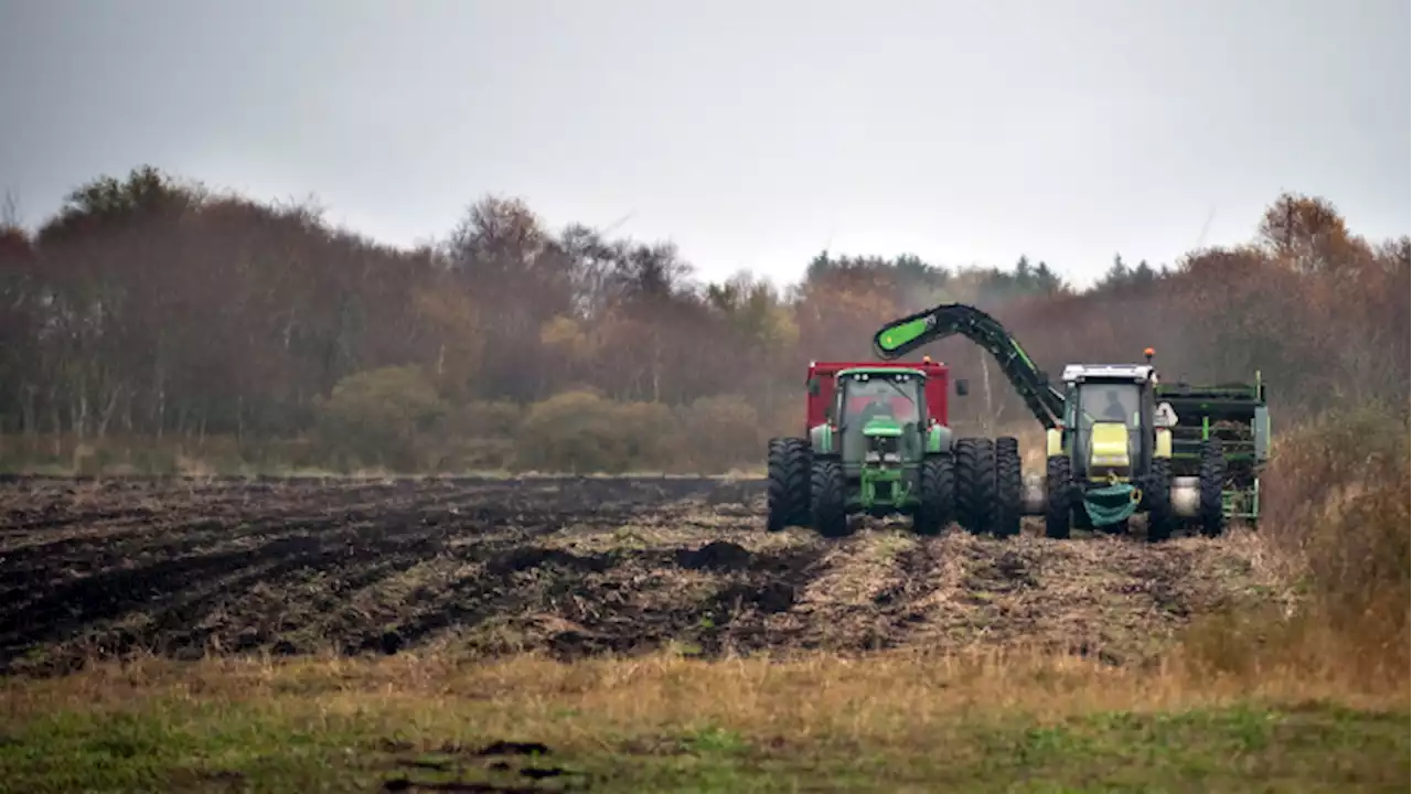 Det går for langsomt med at tage klimabelastende landbrugsjord ud af drift: 'Det virker jo reelt, som om at vi ikke tager klima alvorligt'