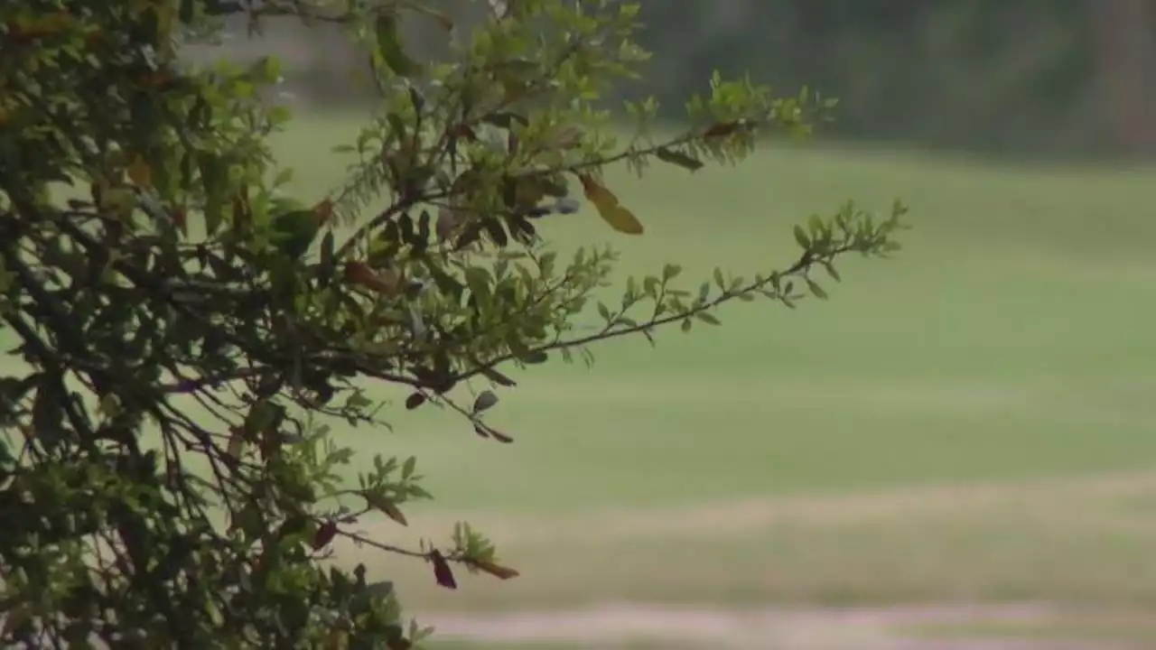 Houston police investigating possible sexual assault at popular Houston park