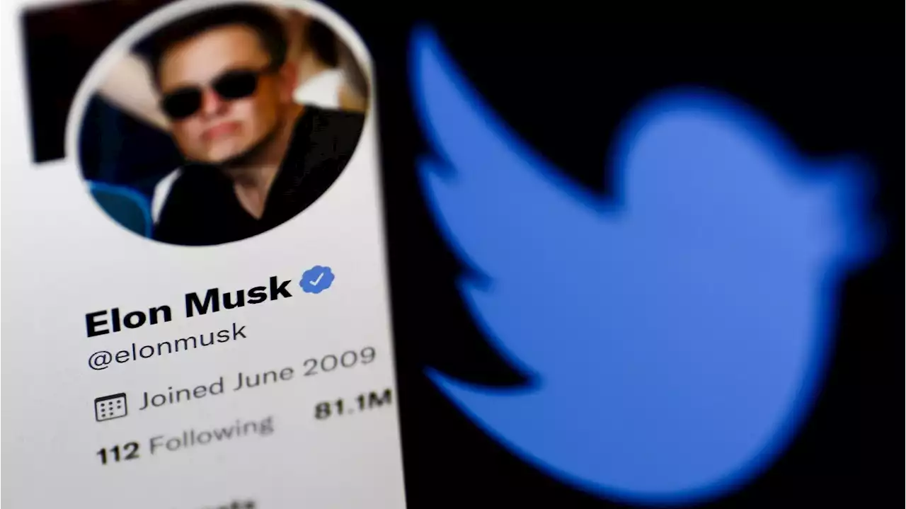 Twitter-Aktionäre verklagen Tesla-Chef Musk