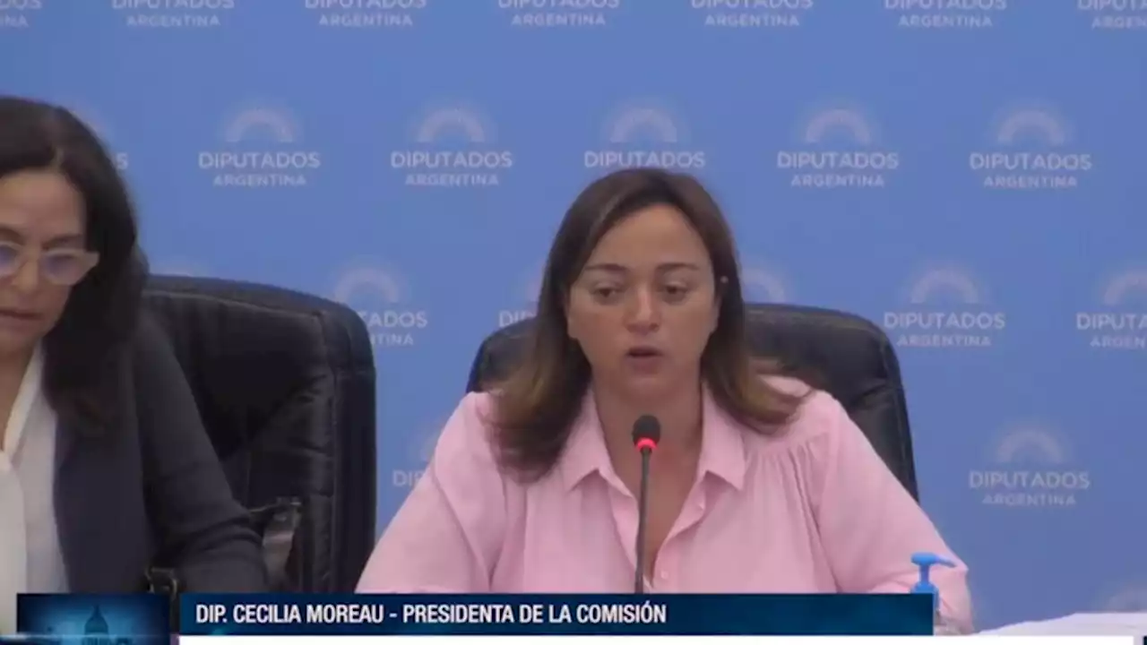 Diputados avanza en el debate de la Ley de alquileres | Participaron más de 40 expositores con representación federal