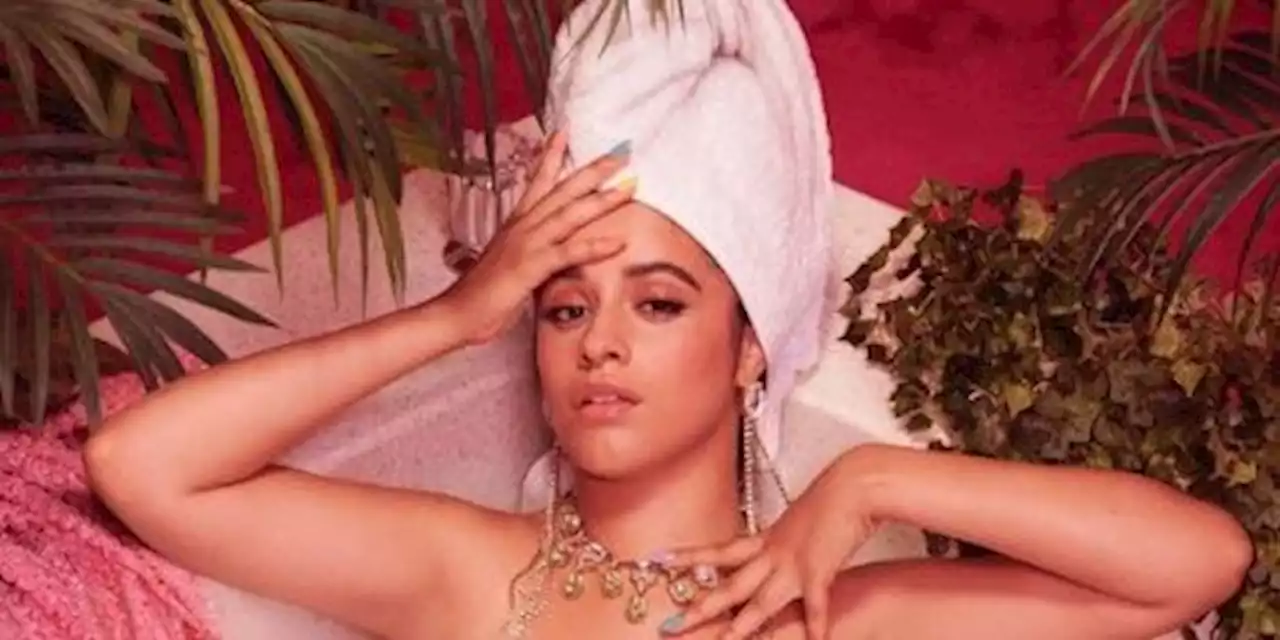 Camila Cabello Just Posted a Flirty Bubble Bath Pic