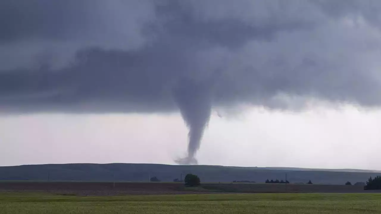 Two possible tornadoes hit Williamson County