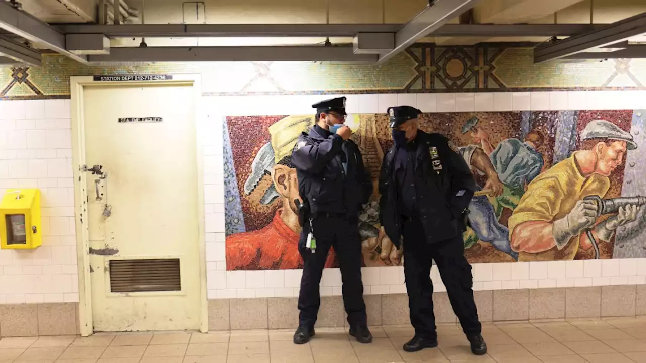 Schießerei in der New Yorker U-Bahn: Tiraden gegen alles und jeden