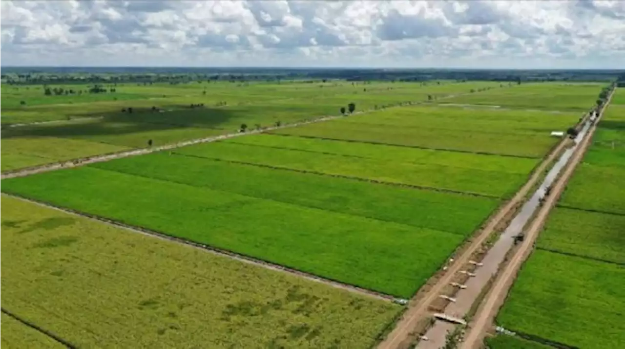 Kementan Pastikan Stok 12 Bahan Pokok di NTT Terkendali