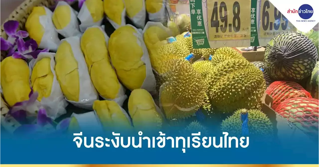 จีนระงับนำเข้าทุเรียนไทยชั่วคราว เหตุพบปนเปื้อนโควิด