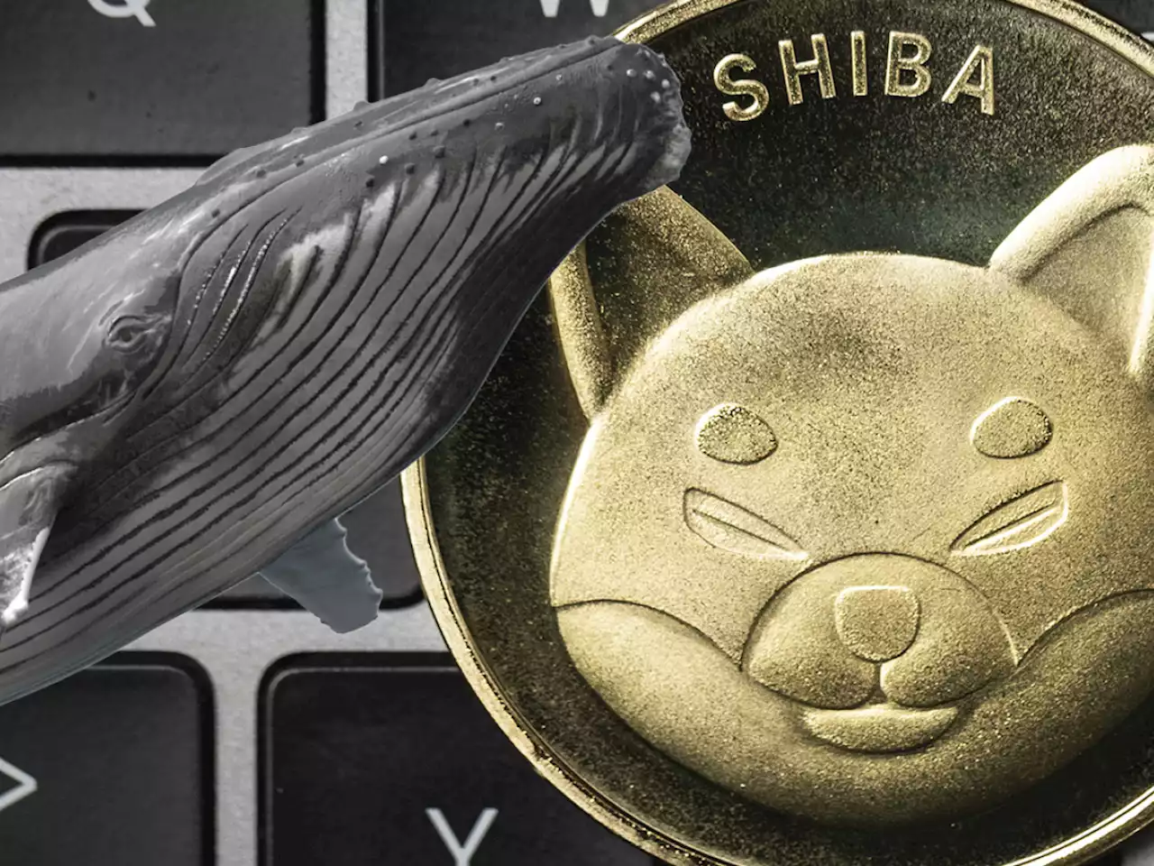 As Shiba Inu Rallies by 20%, Whale Purchases 775 Billion Tokens