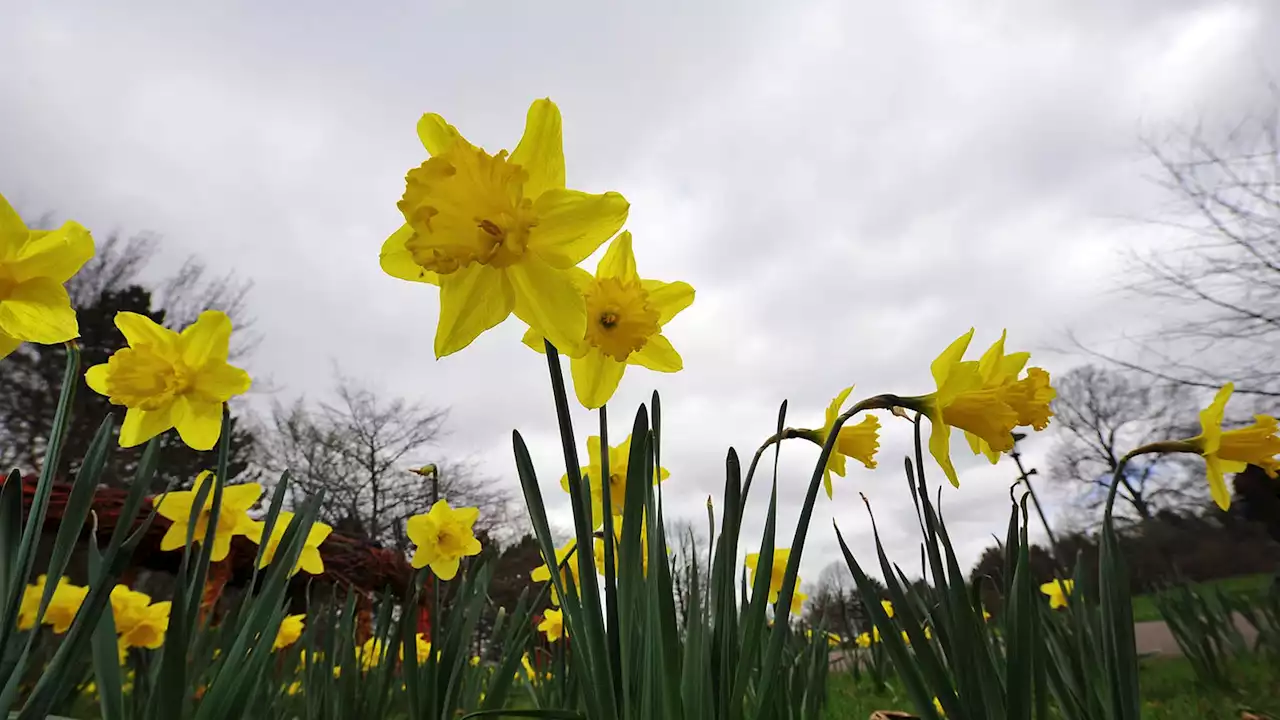 Wetter: Ostern wird größtenteils mild und sonnig