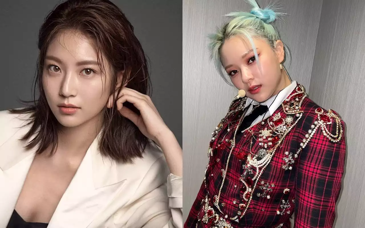 Bikin Hati Fans Adem, Kakak Beradik Gong Seung Yeon-Jeongyeon Jadi Relawan untuk Hewan Terlantar