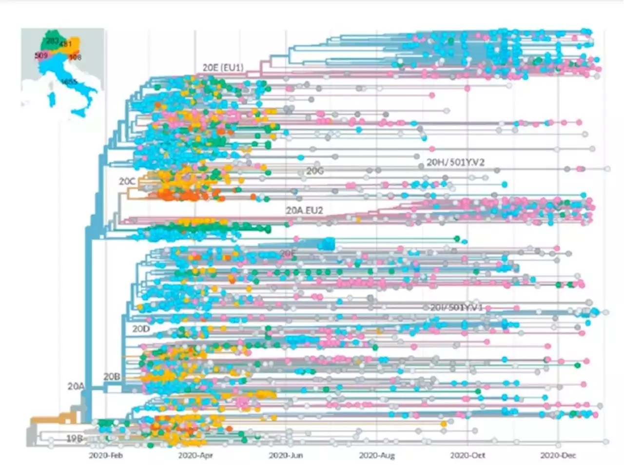 Covid, dall'Italia un metodo per identificare le varianti emergenti - Scienza & Tecnica