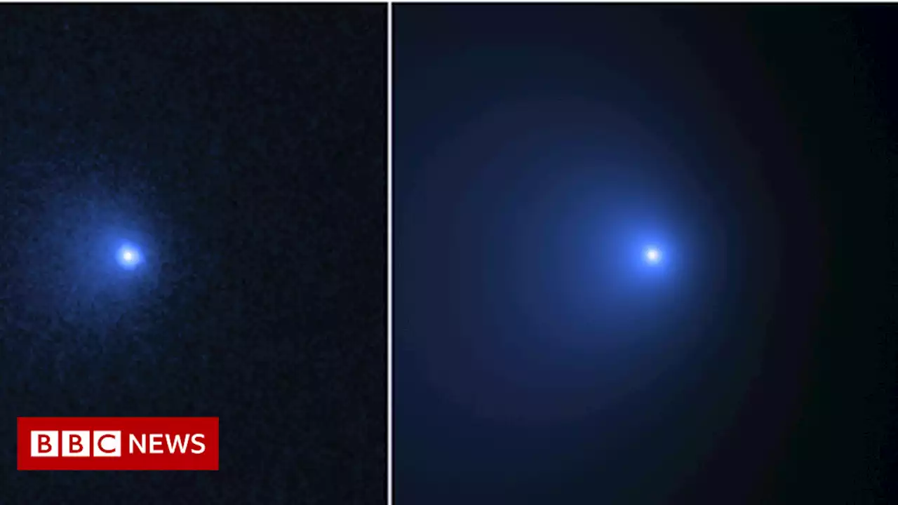 Nasa scientists spy 'largest ever comet'