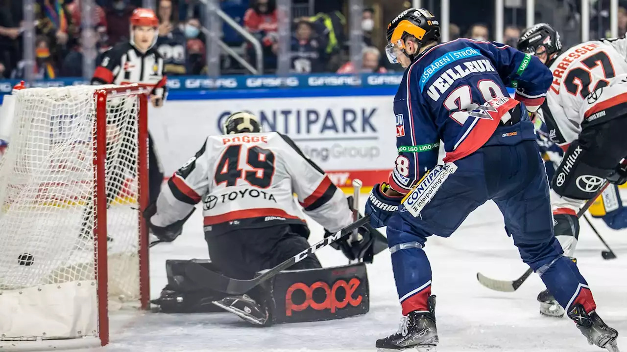 4:0! Eisbären stürmen gegen Köln ins Halbfinale