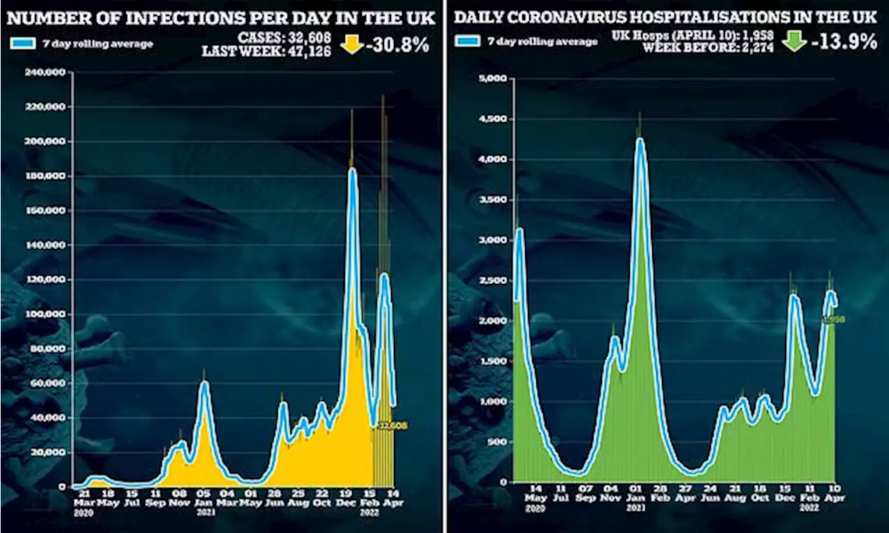 Daily UK Covid cases plummet 31% in a week and hospitalisations drop