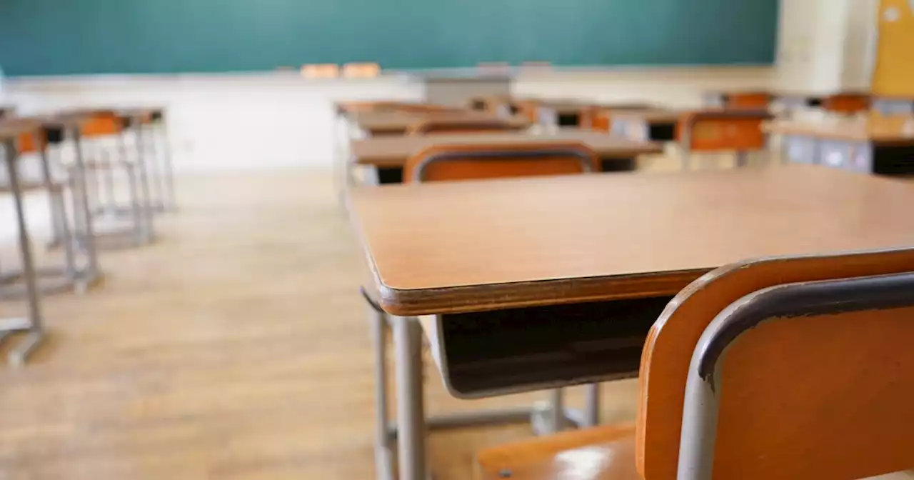 Teachers in Ohio school district told to combat curricula 'rooted in whiteness'