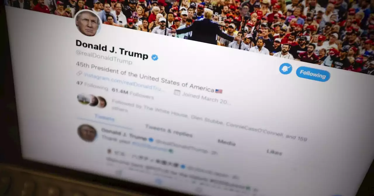 Trump 'probably wouldn't' be interested in Twitter return