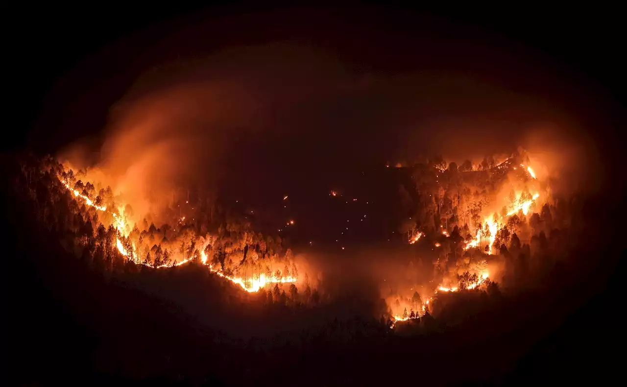 Following Two Years After Australia's Lethal Black Summer Fires