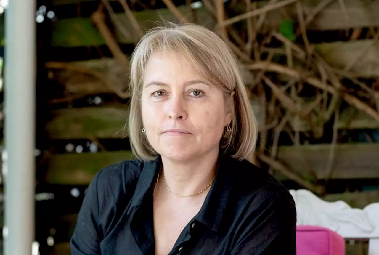 Carol Paton | Immigration bungling and Operation Dudula: Can government still catch up? | Fin24