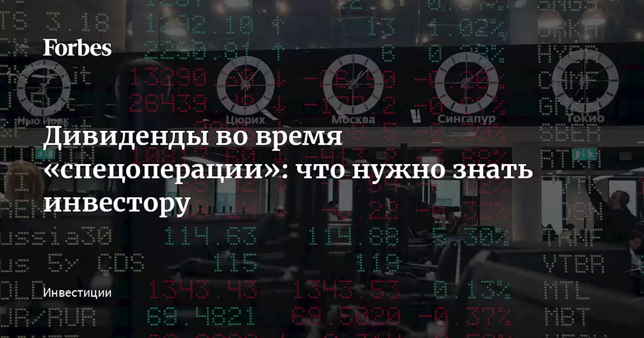 Дивиденды во время «спецоперации»: что нужно знать инвестору