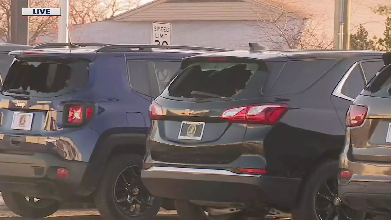 Dozens of car windows smashed at Schaumburg Honda dealership; suspect in custody