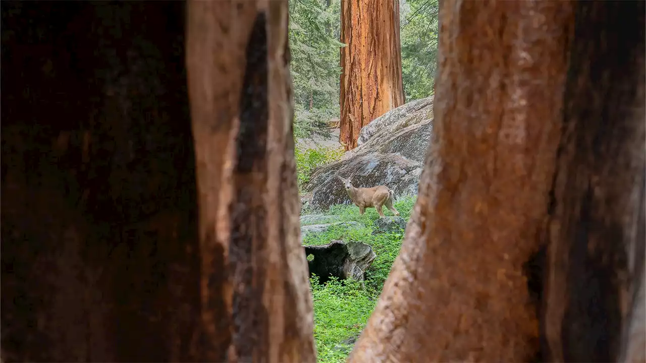 National Park Week: Free entry for all on April 16