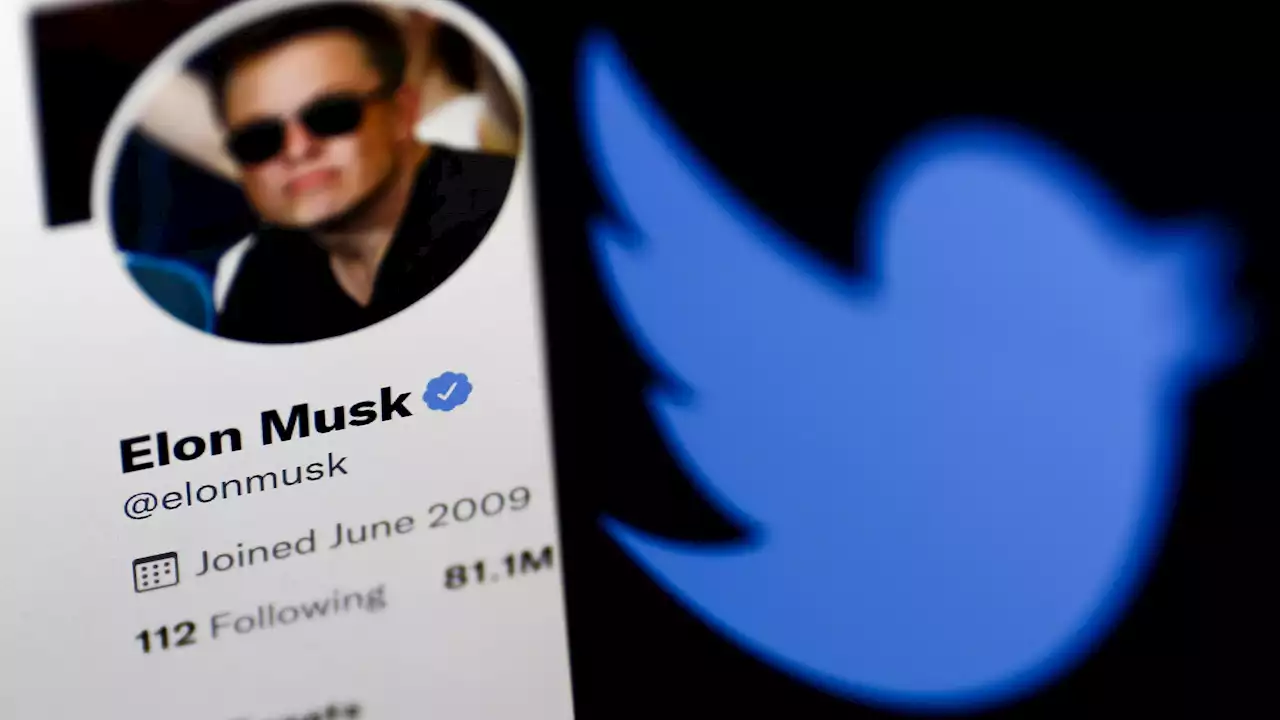 Milliarden-Deal: Tesla-Chef Elon Musk will Twitter komplett übernehmen