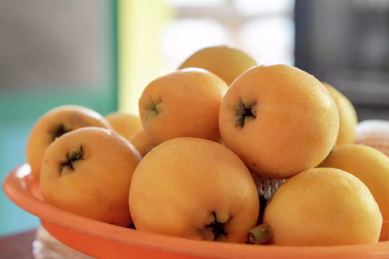 Everything to know about the small, tasty orange fruit that's all over Houston