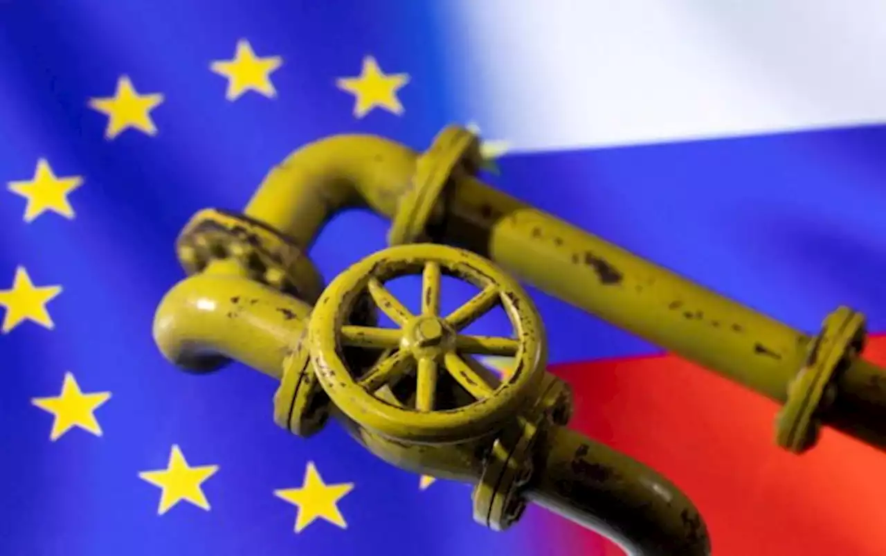 EU payment in roubles for Russian gas would violate sanctions regime — document