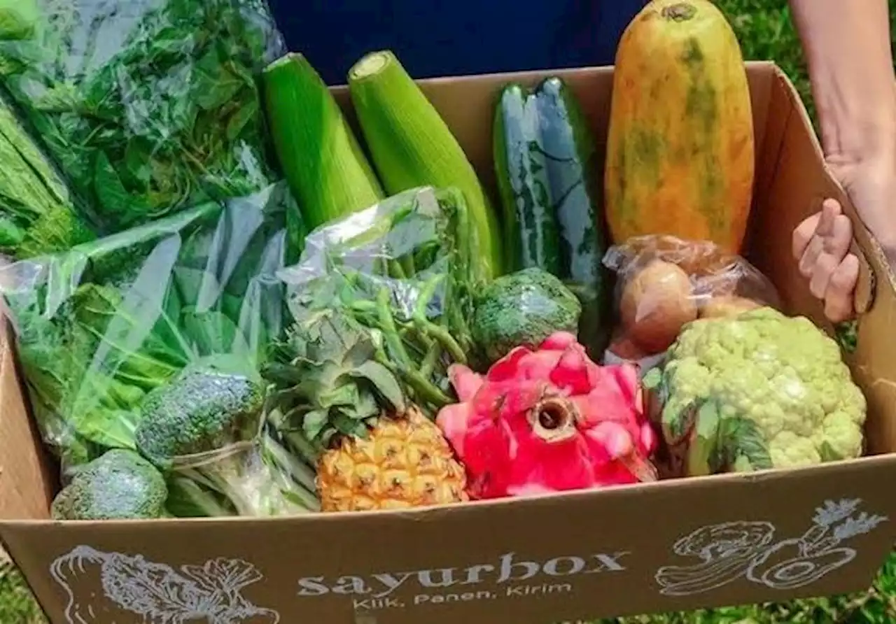 Makan Buah dan Sayur Setiap Hari Demi Jaga Kesehatan Saluran Cerna