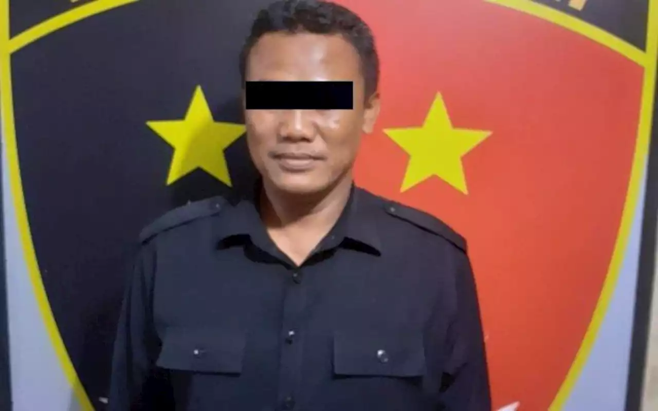 Begini Sikap PDI Perjuangan Sumut Terkait Kadernya yang Anggota Dewan Ditangkap Polisi