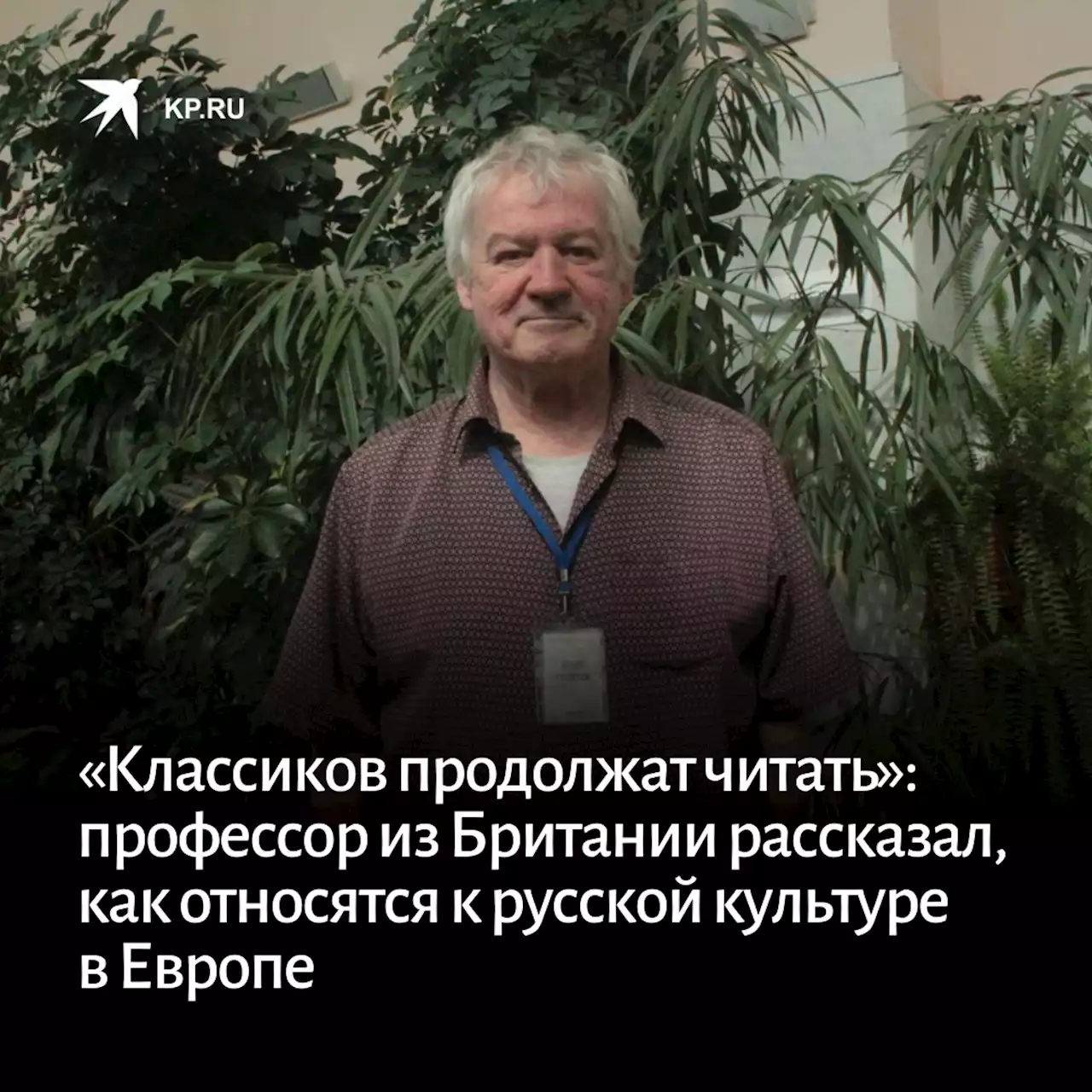 «Классиков продолжат читать»: профессор из Британии рассказал, как относятся к русской культуре в Европе