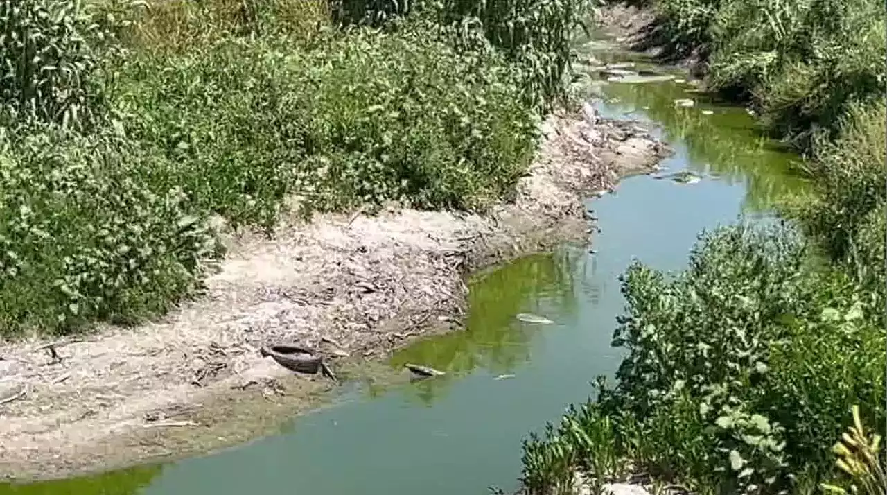 Settlement reached in lawsuit against EPA, work begins cleaning out Tijuana River Valley -