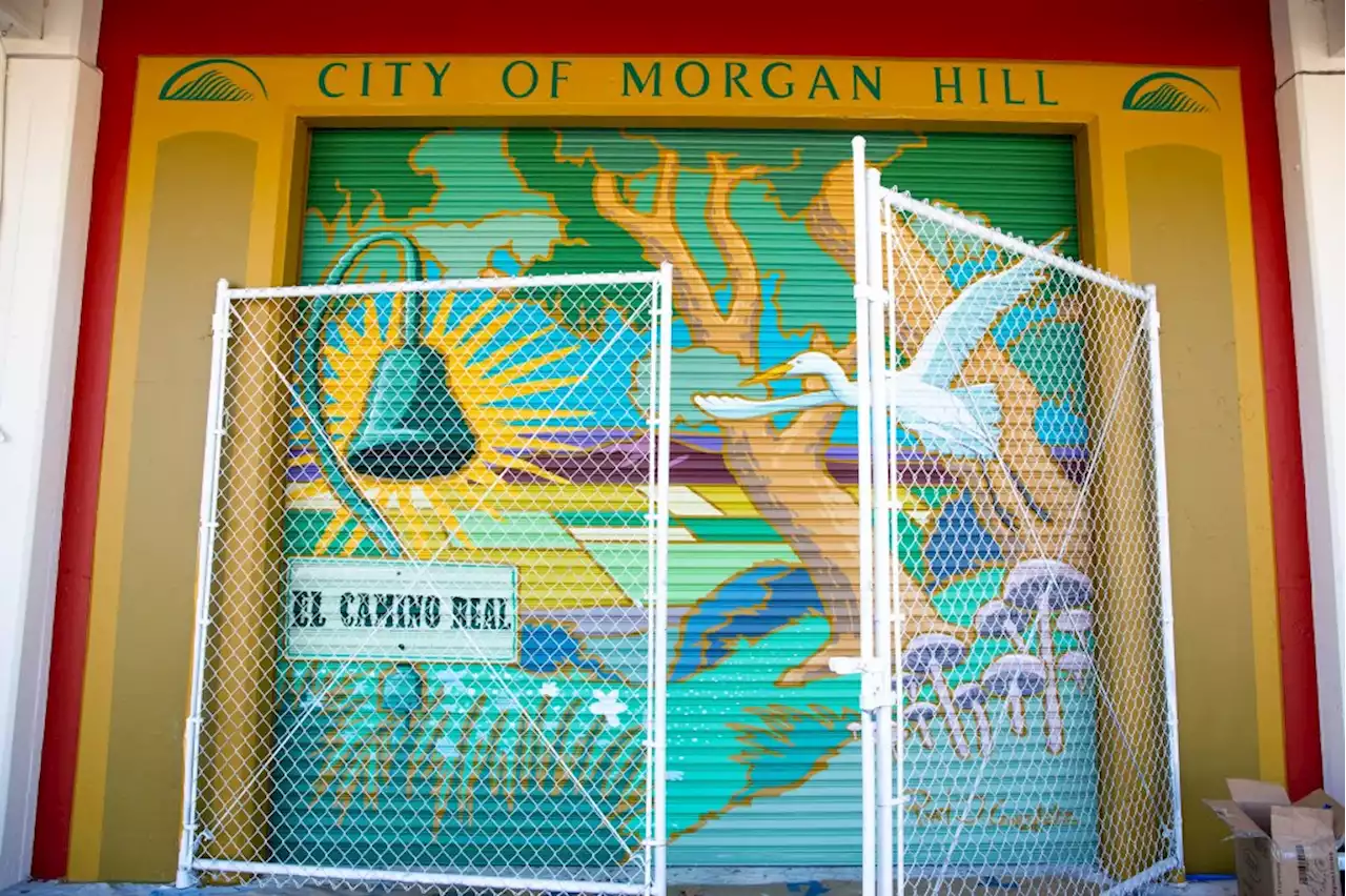 Former Morgan Hill mayor, residents sue over redistricting map