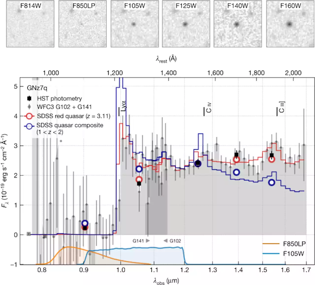 A dusty compact object bridging galaxies and quasars at cosmic dawn - Nature