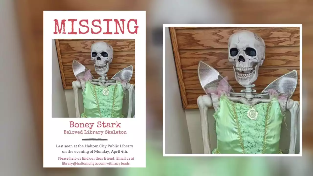 Haltom City Police Searching for Missing Skeleton, Dressed as Tinkerbell