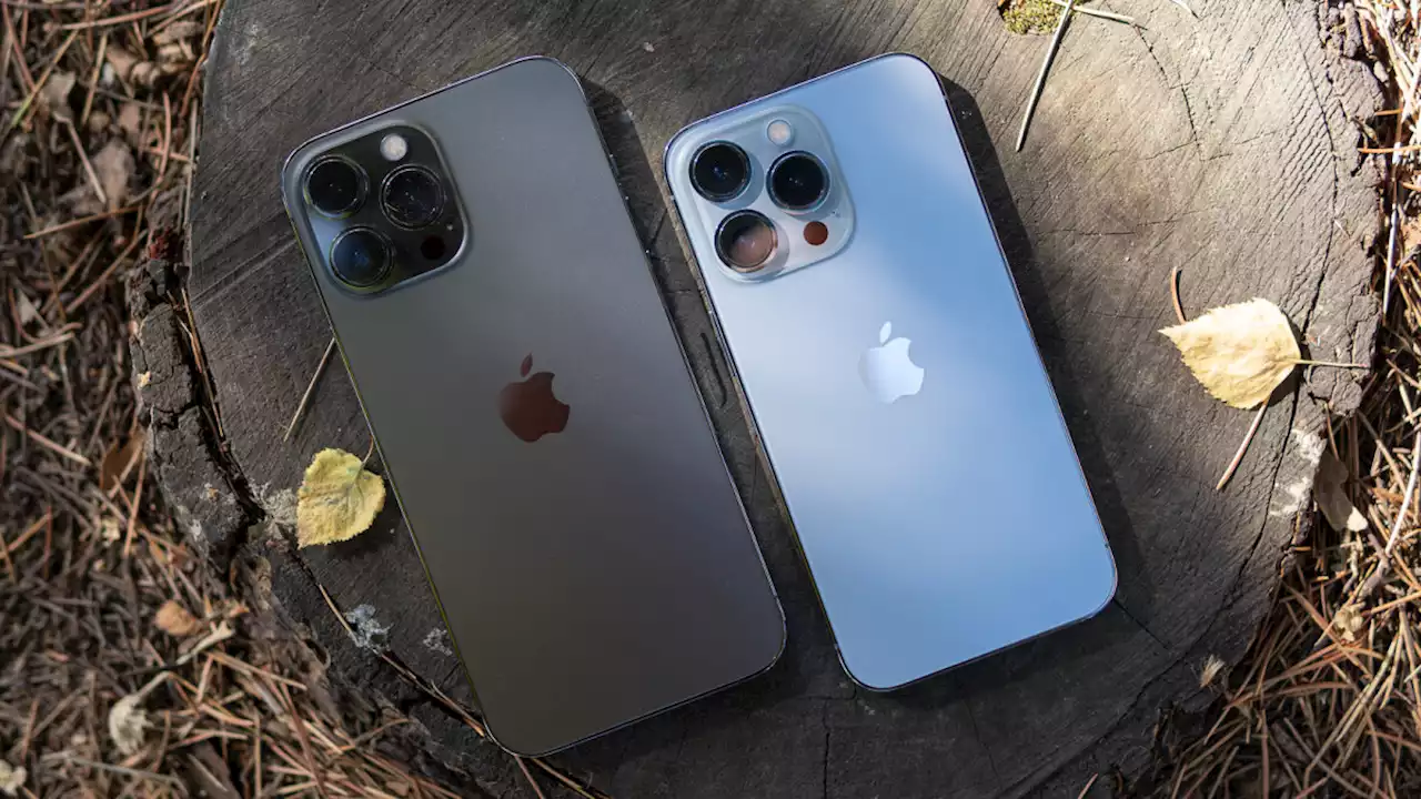 Take a look at the winners of the 'Shot on iPhone' iPhone 13 Pro macro challenge announced by Apple