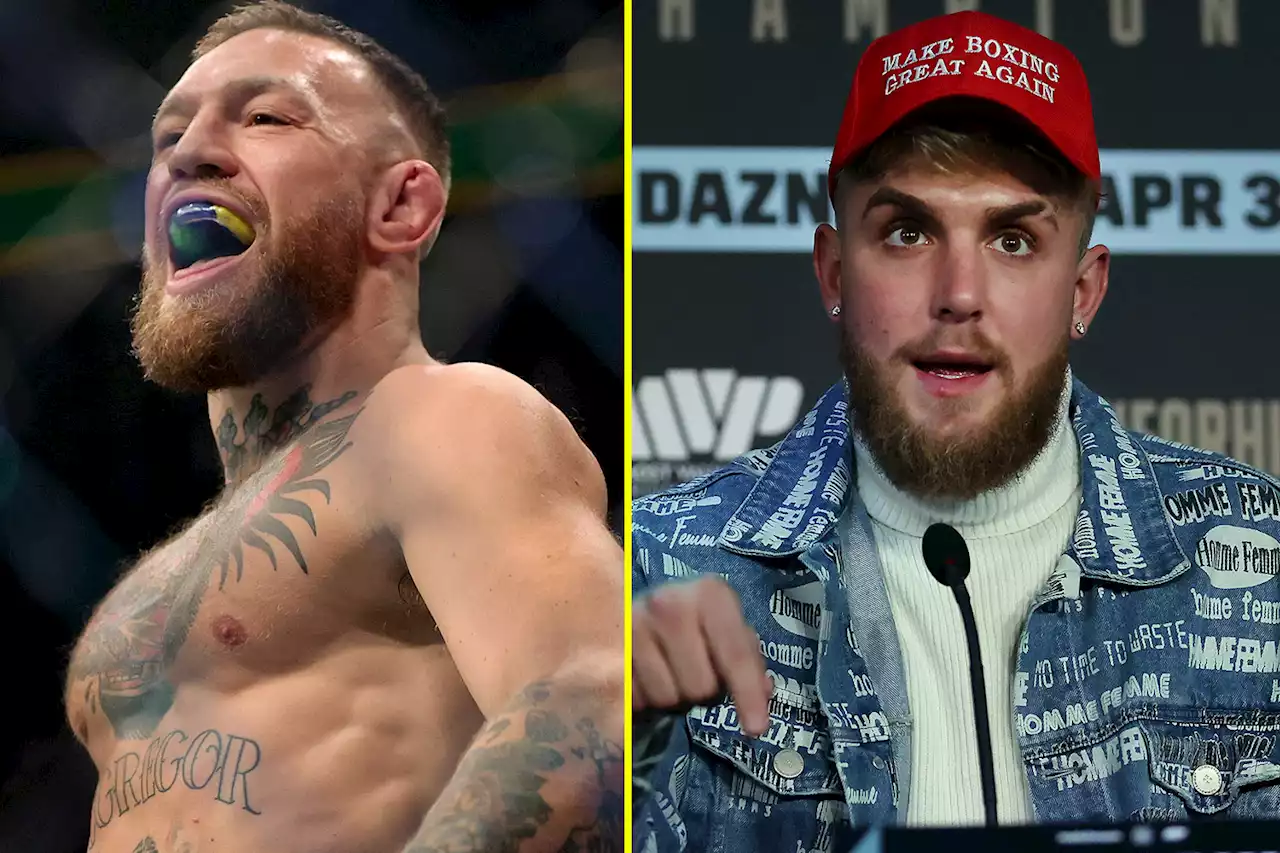 'You can suck my n***' - Paul ruthlessly rejects offer to train with McGregor coach