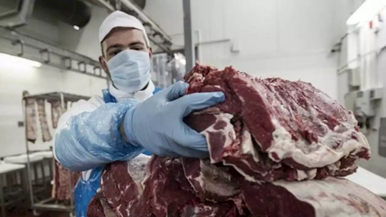 Los siete cortes de carne incluidos en el acuerdo de precios subieron entre 6,6% y 9,5% en marzo