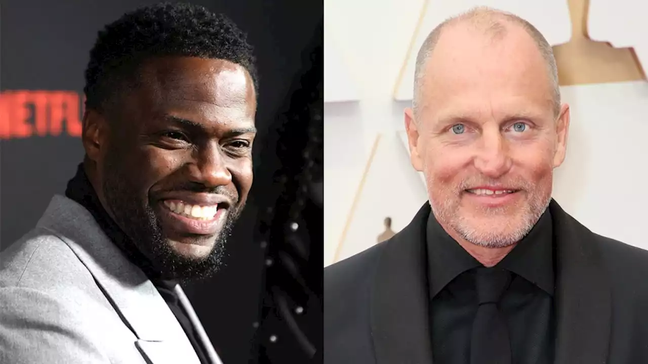 Netflix Acquires Kevin Hart, Woody Harrelson’s Sony Pic ‘The Man From Toronto’