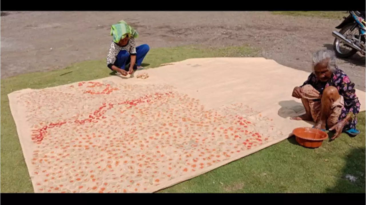 Ini Dia Caranya Membuat Krupuk Singkong, Jajanan Khas Lebaran Lereng Gunung Semeru