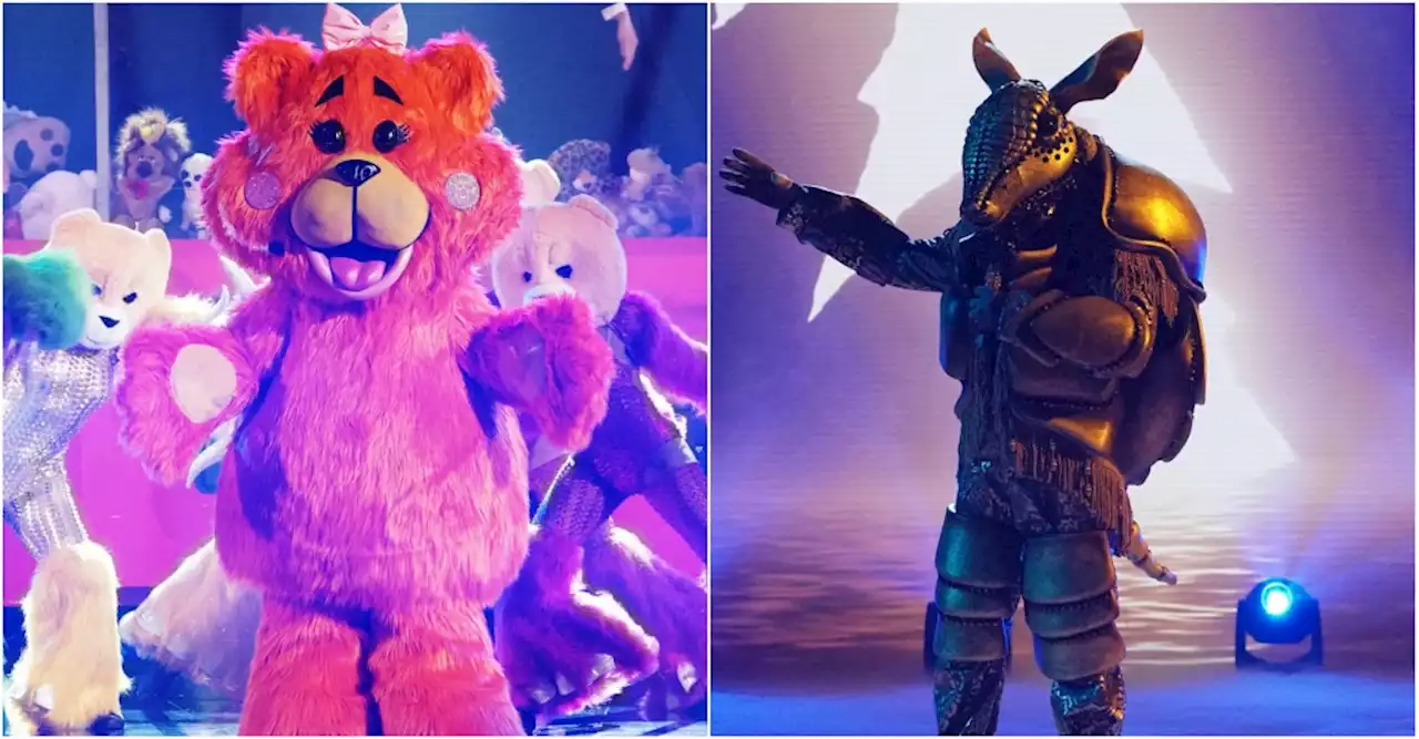 ‘The Masked Singer’ Reveals Identity of Miss Teddy and Armadillo : Here Are the Stars Under the Masks